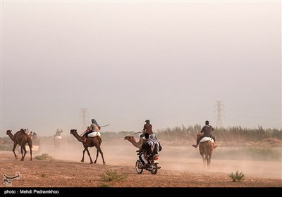 نخستین دوره مسابقات شتر سواری در روستای شیخ زهراب از توابع شهرستان حمیدیه 