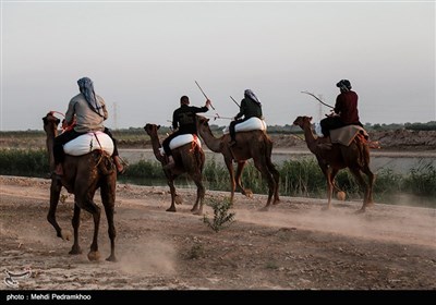 مسابقات شتر سواری در حمیدیه