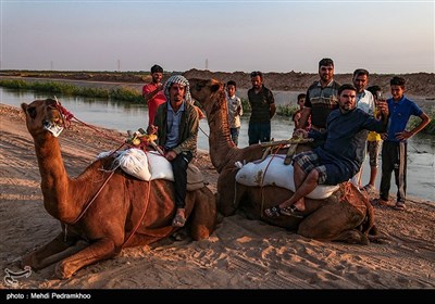 نخستین دوره مسابقات شتر سواری در روستای شیخ زهراب از توابع شهرستان حمیدیه 