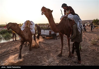 نخستین دوره مسابقات شتر سواری در روستای شیخ زهراب از توابع شهرستان حمیدیه 