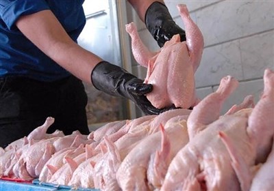  قیمت مصوب مرغ ۱۵ هزار تومان تعیین شد 