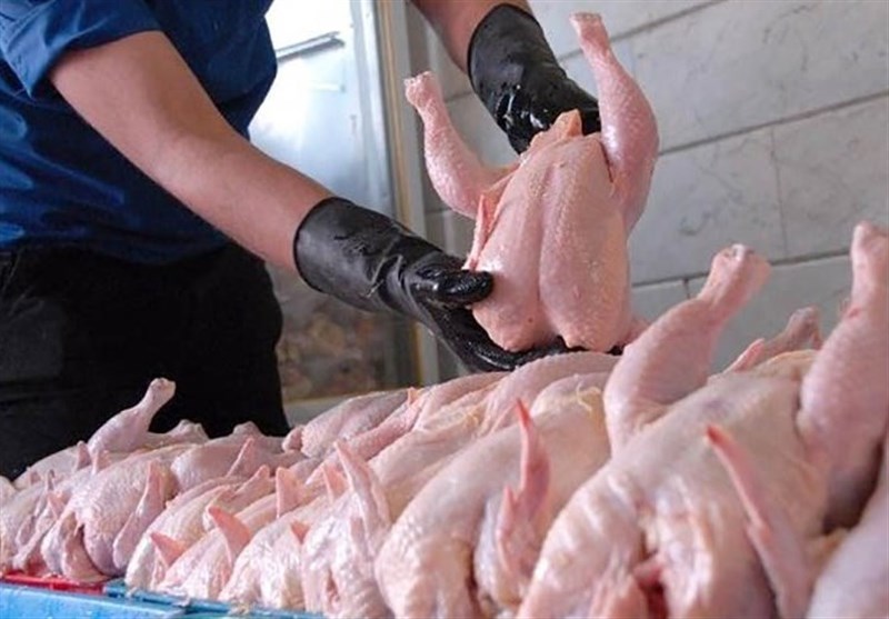 اصفهان| تامین گوشت سفید مورد نیاز مردم در بازار؛ خسارات ناشی از کرونا در بازار گوشت سفید جبران شود
