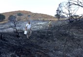 آتش‌سوزی در پارک ملی گلستان مهار شد