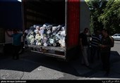 حیات قاچاقچیان ناشی از کمکاری است