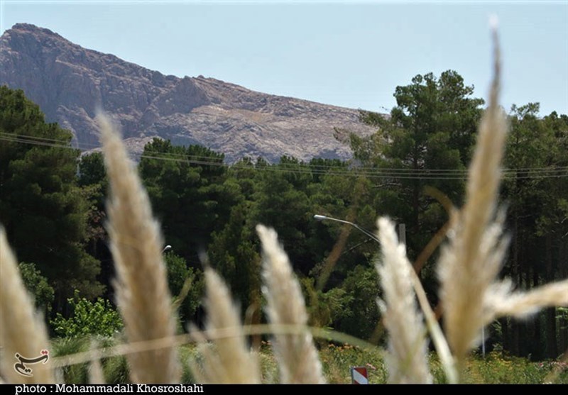 Iran Tourism , 