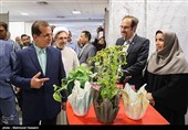 بازدید ابراهیم محمودزاده مدیر عامل سازمان تامین اجتماعی نیروهای مسلح از نمایشگاه کسب و کارهای بازنشستگان نیروهای مسلح