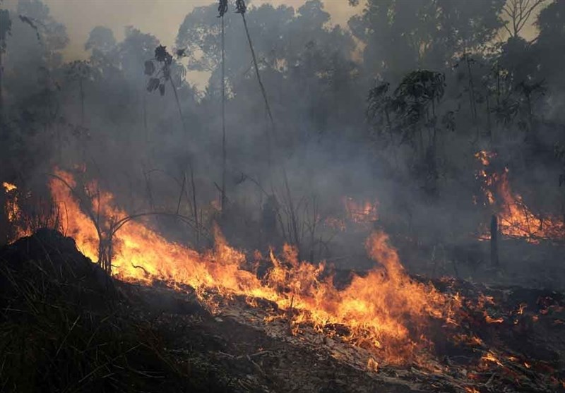 Brazil Rejects G7 Aid to Fight Amazon Fires - Other Media news - Tasnim ...