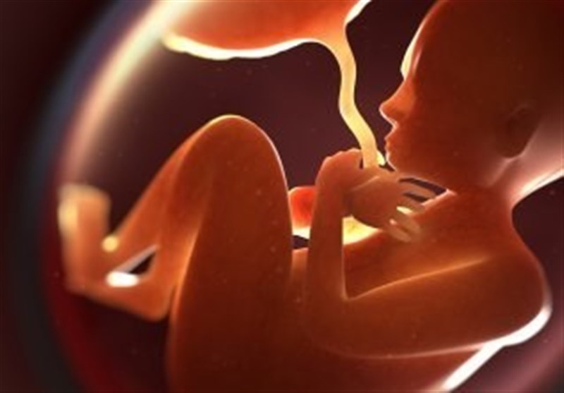 آمار وحشتناک &quot;سقط جنین&quot; در آمریکا/ مادران از زندگی تباه‌ شده‌ خود می‌گویند + فیلم