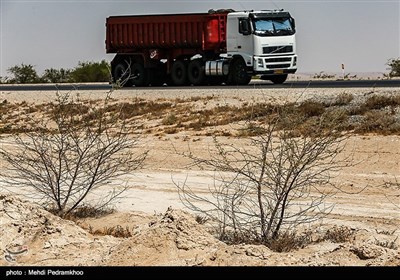 نهال کاری 4 هزار هکتار زمین توسط بسیج سازندگی در خوزستان