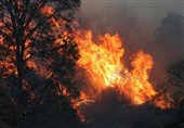 بازداشت 3 نفر در ارتباط با آتش سوزی جنگل‎های ارسباران