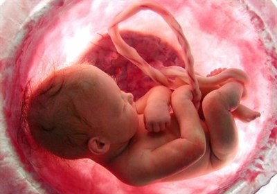  "سقط جنین" از زنده به گور کردن اعراب جاهلی وحشیانه‌تر است! 