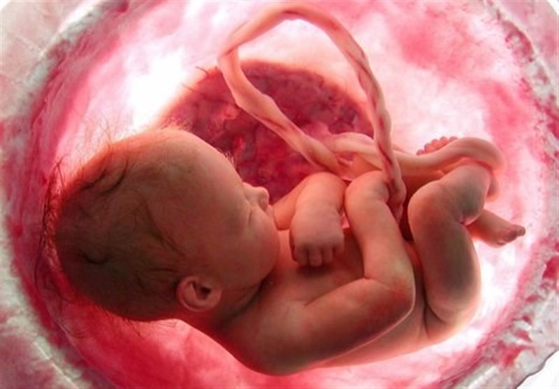 قوانین فعلی &quot;سقط جنین&quot; منجر به صدور مجوزهای بی‌مورد سقط شده/ لزوم بازنگری مسئله &quot;عسر‌و‌حرج مادر&quot; توسط مراجع عظام تقلید