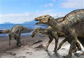 کشف ردپای دایناسورهای 100 میلیون‌ساله در شمال غربی چین + عکس