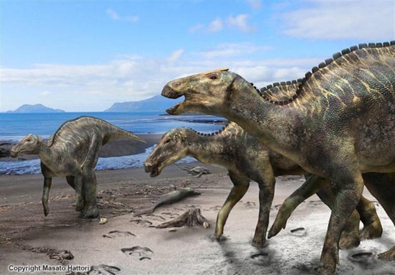 کشف ردپای دایناسورهای 100 میلیون‌ساله در شمال غربی چین + عکس