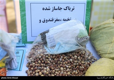 نخسین مرحله طرح ظفر پلیس تهران