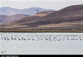 تراز دریاچه ارومیه 59 سانتی متر افزایش یافت