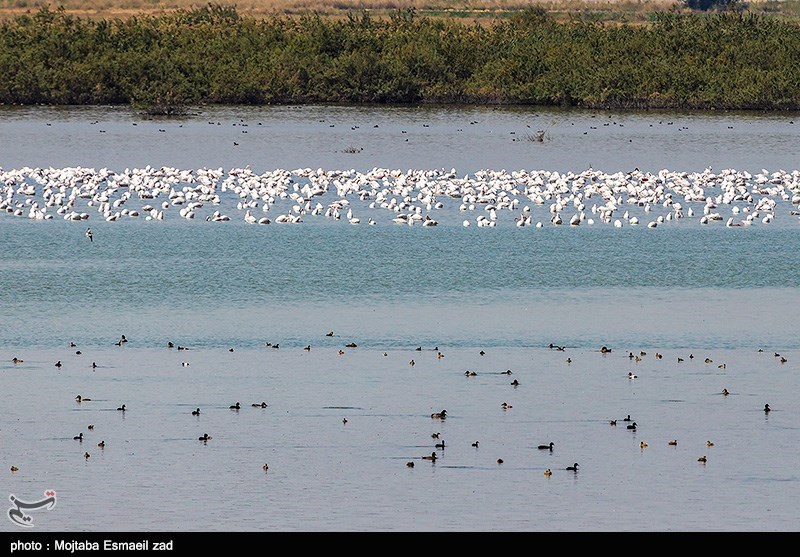 حجم آب دریاچه ارومیه به 3000.000.000 مترمکعب کاهش یافت