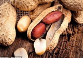 Poor Sleep, Lack of Exercise Increase Risk of Nut Allergy