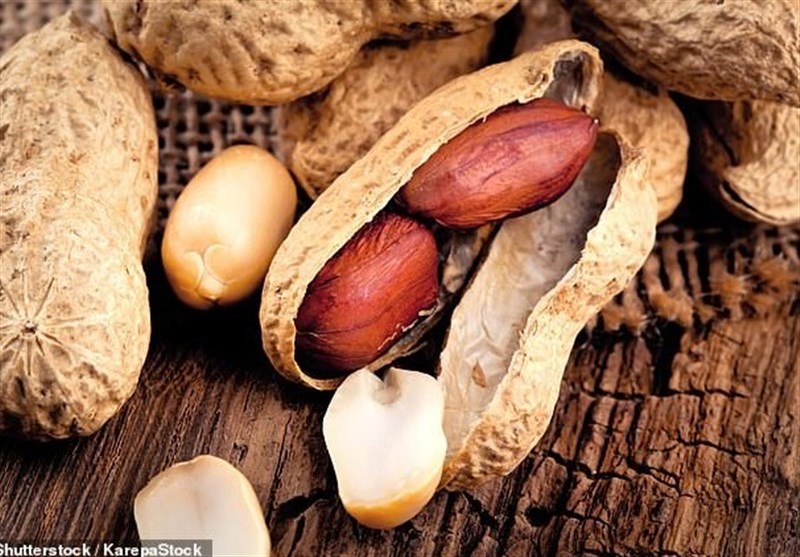 Poor Sleep, Lack of Exercise Increase Risk of Nut Allergy