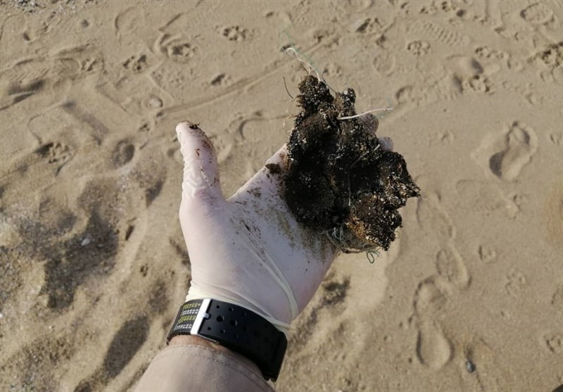 پاکسازی بخشی از ساحل قشم از آلودگی‌های نفتی + تصویر