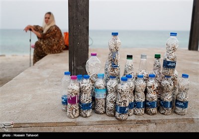 R:\پاکسازی ساحل و دریا به مناسبت روز جهانی پاکسازی سواحل در کیش