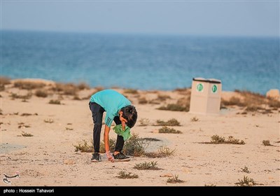 پاکسازی ساحل و دریا به مناسبت روز جهانی پاکسازی سواحل -کیش