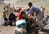 بازار فروش محصولات عشایری استان تهران ایجاد می شود