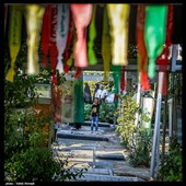 تهران| عملیات ساخت مقبره شهدای گمنام در فاز 8 پردیس آغاز شد