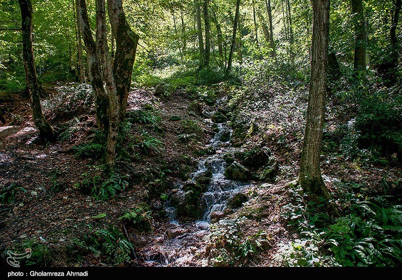 افزایش نظارت بر منطقه حفاظت‌شده جهان نما با استقرار ایستگاه بازرسی انفال