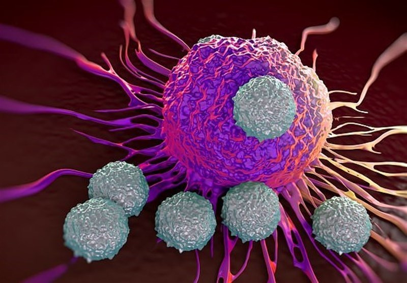 Molecule in Immune System Able to Trigger &apos;Suicide&apos; of Cancerous Tumors