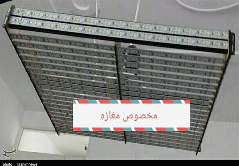 تسنيم،معلول،مسئولان،معلولان،شغل،شرايط،توليد،دهگلان،پشتكار،تو ...