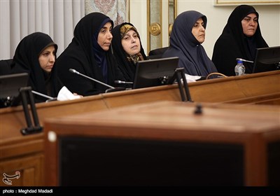 دیدار فراکسیون زنان مجلس با رئیس قوه قضائیه