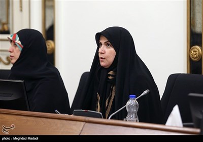 فاطمه ذوالقدر عضو فراکسیون زنان مجلس