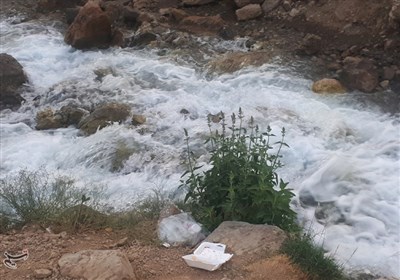 میشی، چشمهای به رنگ شیر