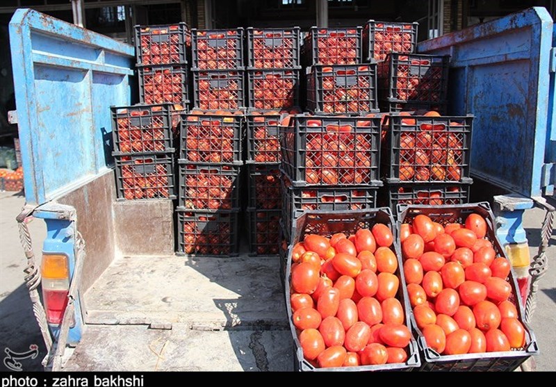 چرا قیمت گوجه فرنگی در همدان به 15 هزار تومان‌ رسید؟