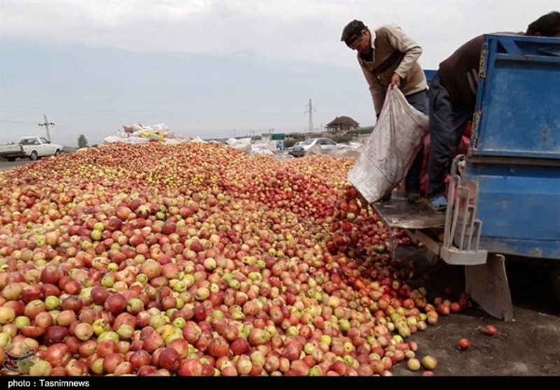 کشاورزان اردستانی وضعیت معیشتی مطلوبی ندارند