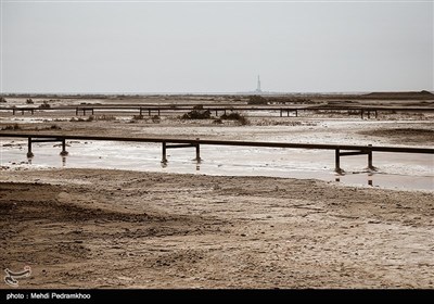 یک سوم تالاب مرزی هورالعظیم در جنوب غربی خوزستان، در ایران و دو سوم آن در عراق است.