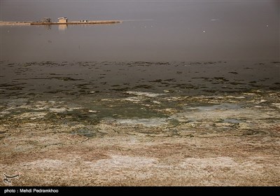 یک سوم تالاب مرزی هورالعظیم در جنوب غربی خوزستان، در ایران و دو سوم آن در عراق است.