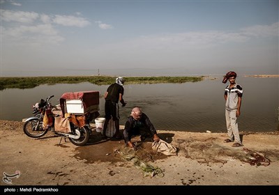  این تالاب که در سیل اخیر بسیاری از شهرها و روستاهای جنوب کرخه را از غرق شدن نجات داده، محل تخلیه پساب های کشاورزی است. با توجه به اینکه هورالعظیم یکی از کانون های گرد و غبار است، فعالان محیط زیست بارها نسبت به تخلیه پساب های شور و تبدیل شده هورالعظیم به نمک زار هشدار داده اند