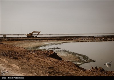 یک سوم تالاب مرزی هورالعظیم در جنوب غربی خوزستان، در ایران و دو سوم آن در عراق است.