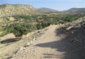 عملیات اجرایی راه‌سازی در مناطق عشایری کوهدشت