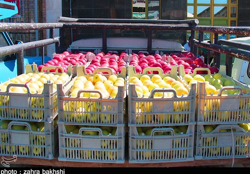 ماجرای دپوی 2 هزار کامیون سیب درختی در گمرکات کشور چه بود؟
