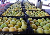 طلب باغداران سیب استان آذربایجان‌غربی تسویه شد