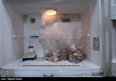 یخچال محل نگهداری اعضای بدن