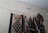اشتغال و رونق اقتصادی با کلیم نقش برجسته ایلام/ حمایت عملی مسئولان ضروری است