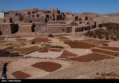 سرخ شدن زمین در فصل پاییز و ترکیب آن با آسمان صاف و آبی این منطقه اخیرا آن را به یکی از مراکز اصلی گردشگری در ایران تبدیل کرده است