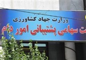 مناقصه ایران برای خرید 300 هزار تن ذرت و دانه سویا از بازار جهانی