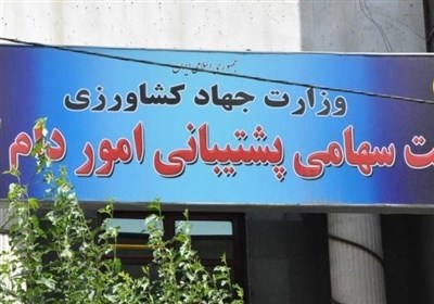 اشخاص،يكصد،اساسي،بودجه،كشور،تسنيم