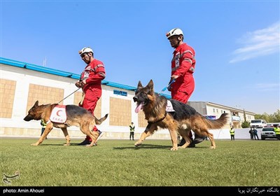 رزمایش مشترک هلال احمر و نیروی انتظامی