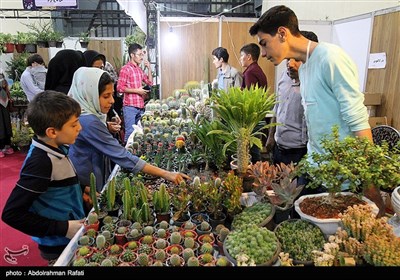 هفدهمین نمایشگاه سراسری گل و گیاه و گیاهان دارویی در همدان